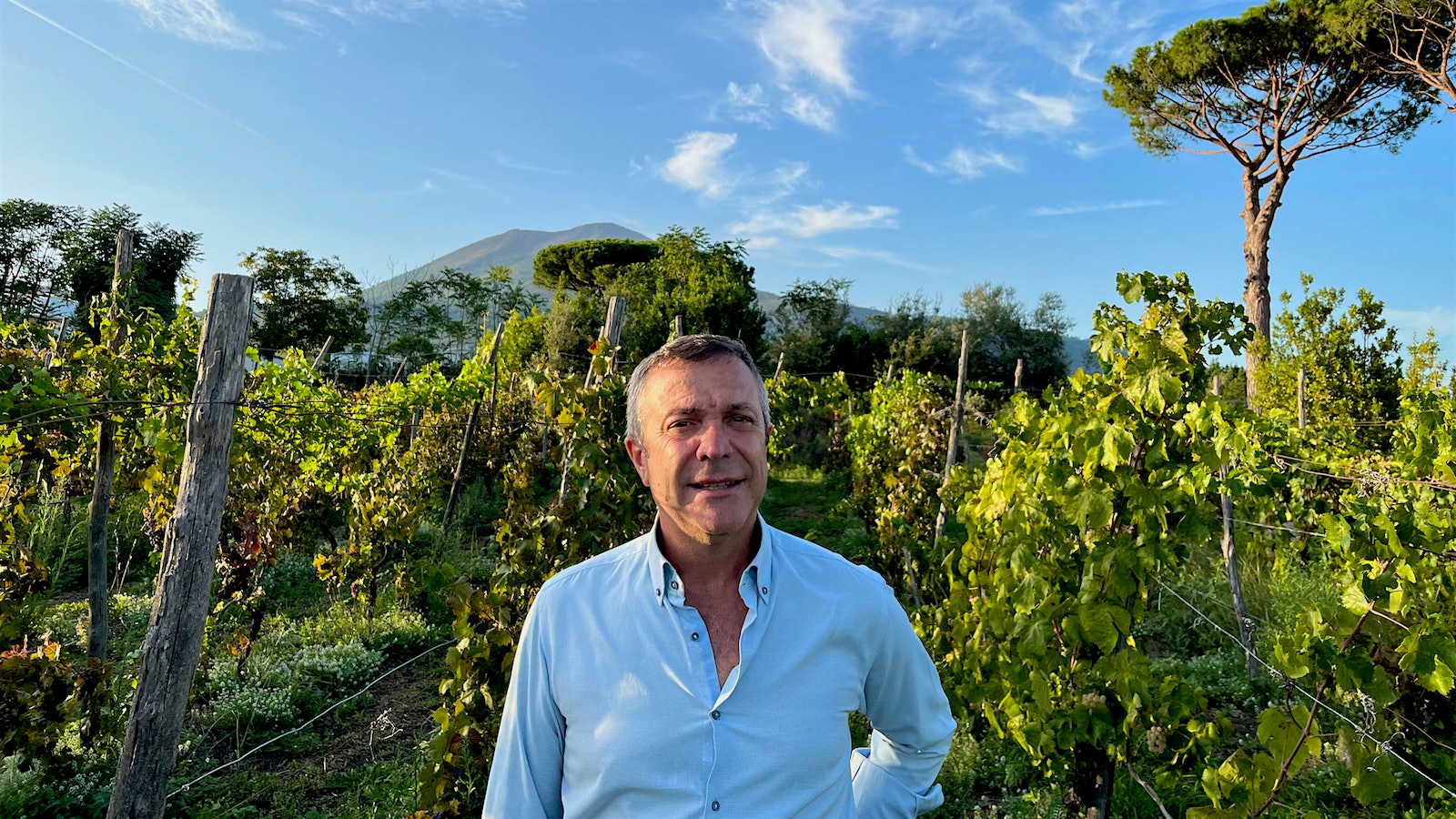 Massimo Setaro standing in front of his vineyard with a mountain in the background